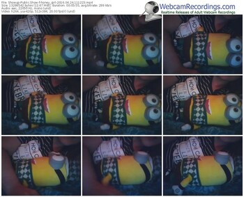 showup-honey_girl-webcam-show-04_24_2016-11_12_23