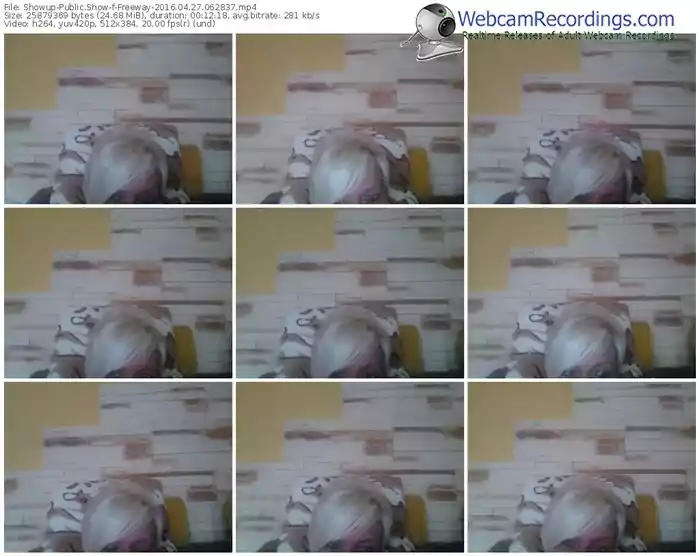 showup-freeway-webcam-show-04_27_2016-06_28_37