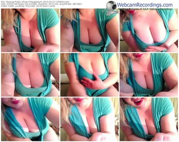 showup-megasquirt-webcam-show-04_27_2016-13_58_46