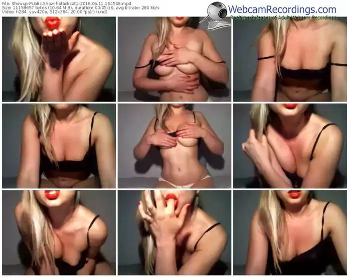 showup-blackcat1-webcam-show-05_11_2016-19_45_08