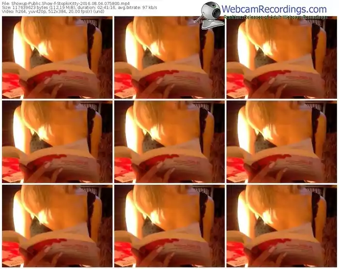 showup-stopkikitty-webcam-show-08_04_2016-07_58_00