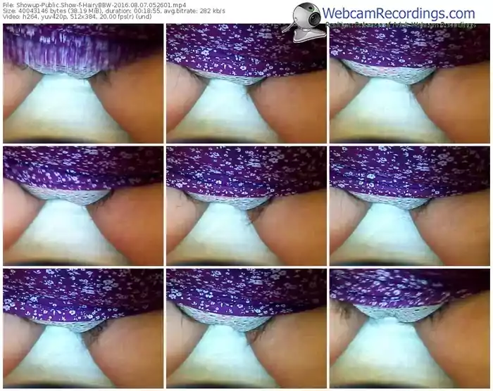 showup-hairybbw-webcam-show-08_07_2016-05_26_01