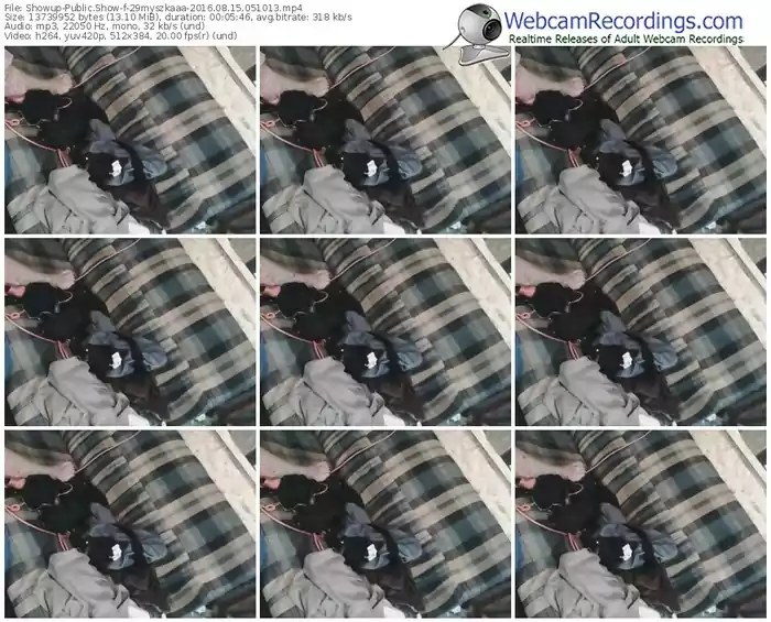 showup-29myszkaaa-webcam-show-08_15_2016-05_10_13