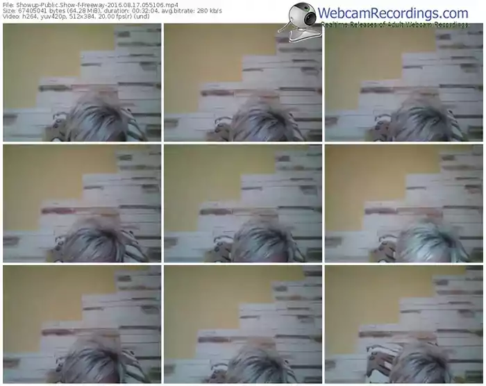 showup-freeway-webcam-show-08_17_2016-05_51_06