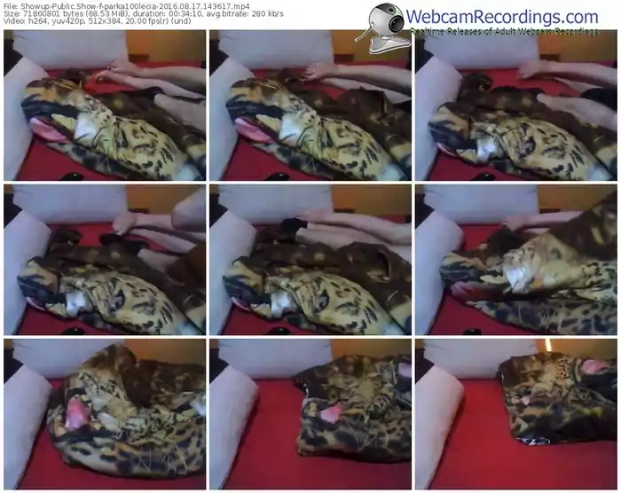 showup-parka100lecia-webcam-show-08_17_2016-14_36_17