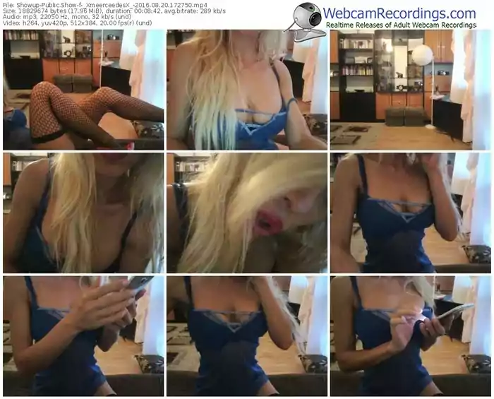 showup-_xmeerceedesx_-webcam-show-08_20_2016-17_27_50