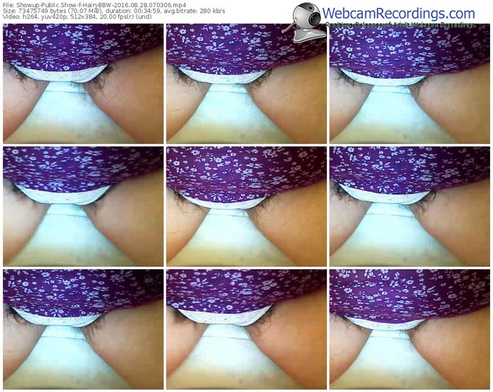showup-hairybbw-webcam-show-08_28_2016-07_03_06