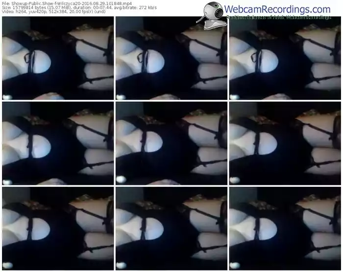 showup-wilczyca20-webcam-show-08_29_2016-10_18_48