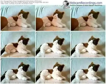 showup-angelika432-webcam-show-09_02_2016-12_30_43