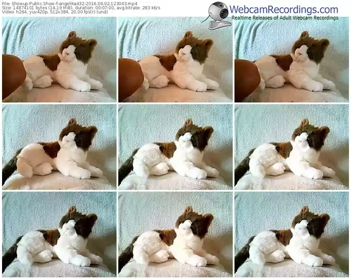 showup-angelika432-webcam-show-09_02_2016-12_30_43