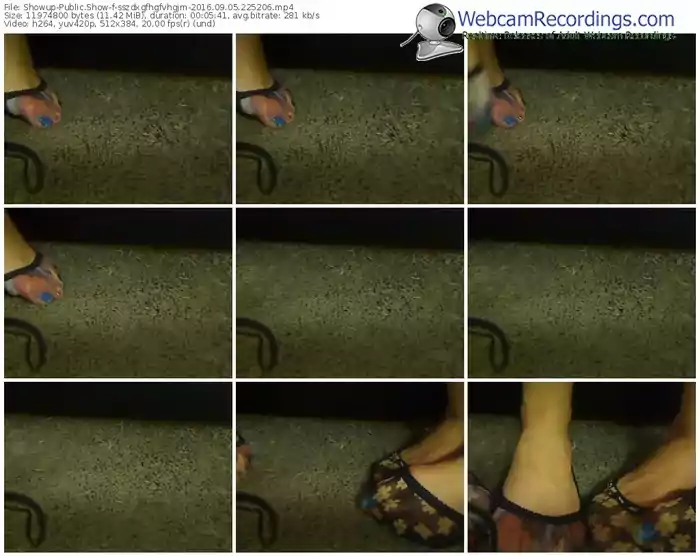 showup-sszdxgfhgfvhgjm-webcam-show-09_05_2016-22_52_06