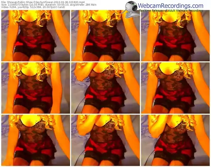 showup-saysunflower-webcam-show-09_08_2016-02_18_00