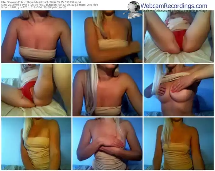 showup-blackcat1-webcam-show-09_25_2016-09_37_37