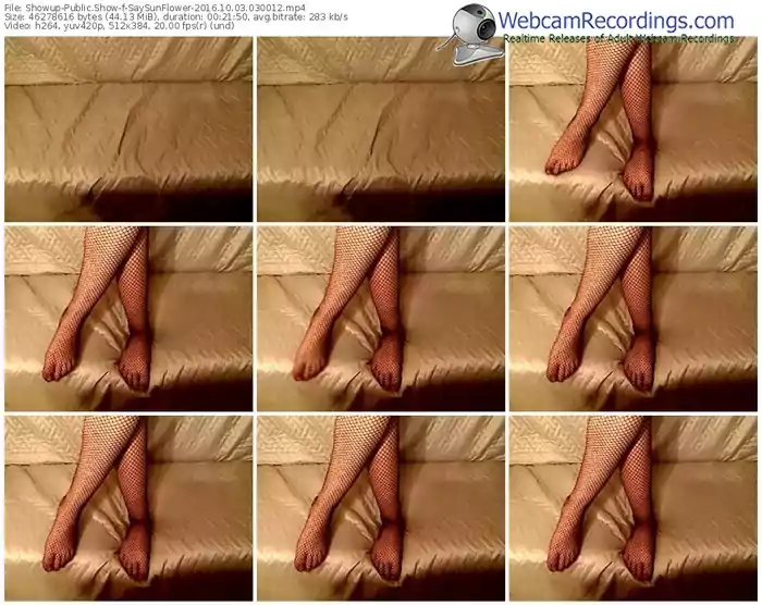 showup-saysunflower-webcam-show-10_03_2016-03_00_12