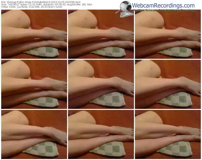 showup-dzikakotka19-webcam-show-10_05_2016-02_00_38