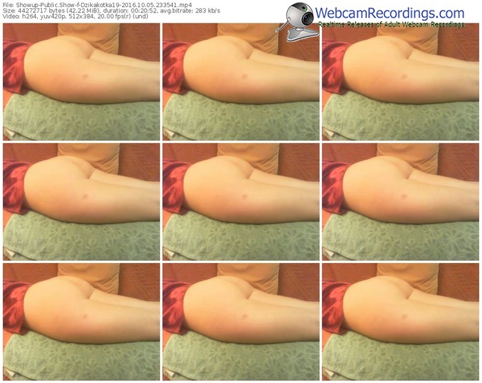 showup-dzikakotka19-webcam-show-10_05_2016-23_35_41