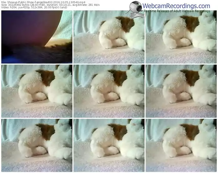 showup-angelika432-webcam-show-10_05_2016-13_05_40