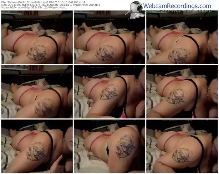 showup-martass198-webcam-show-10_11_2016-04_23_05