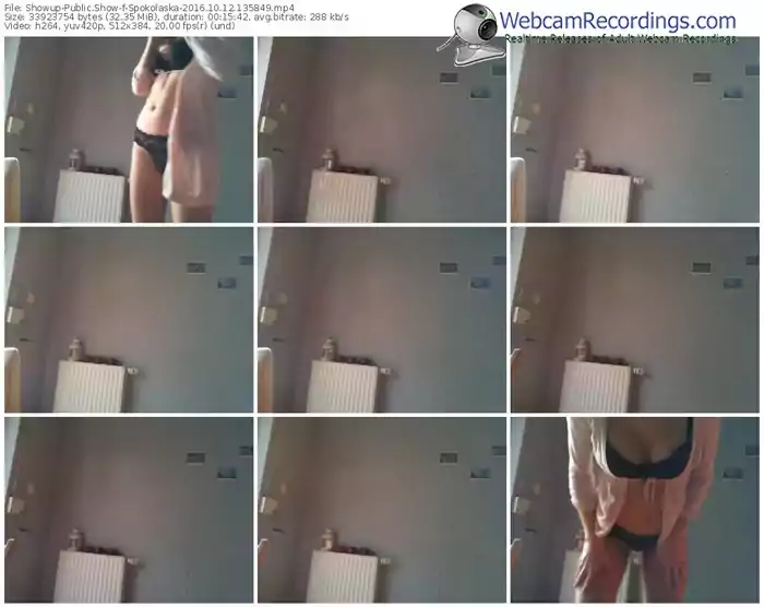 showup-spokolaska-webcam-show-10_12_2016-13_58_49