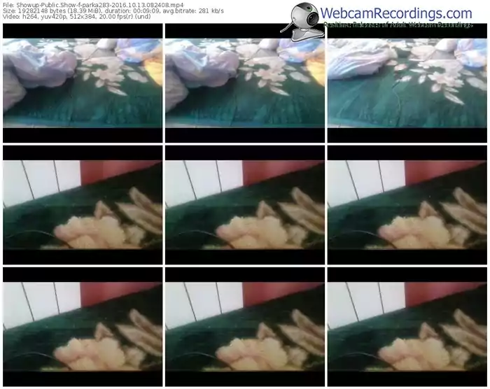 showup-parka283-webcam-show-10_13_2016-08_24_08