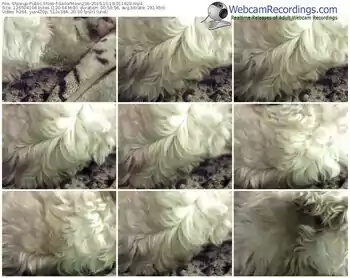 showup-sailormoon236-webcam-show-10_18_2016-01_16_20