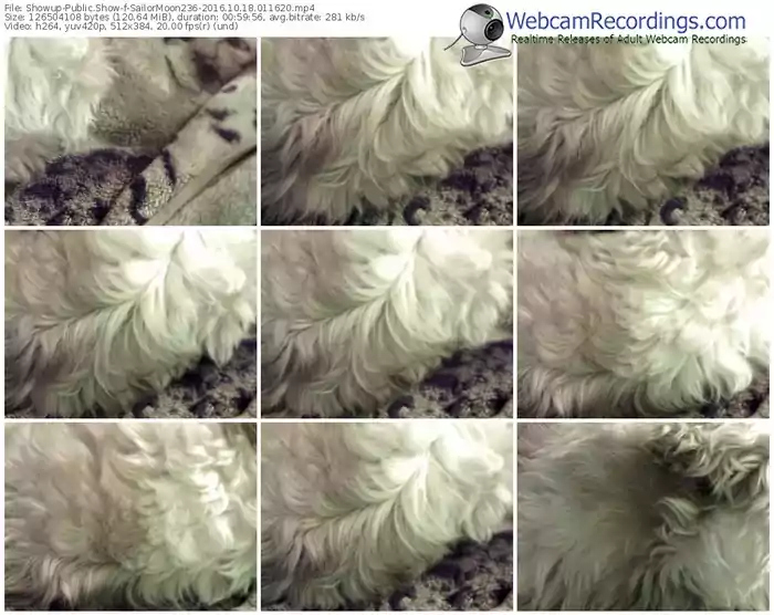 showup-sailormoon236-webcam-show-10_18_2016-01_16_20