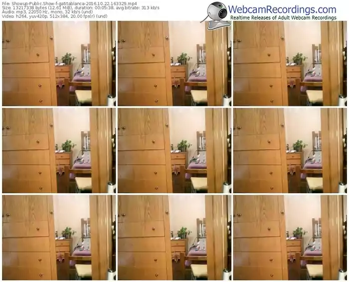 showup-gatitablanca-webcam-show-10_22_2016-16_33_29