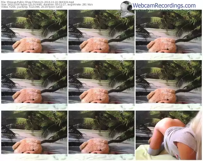 showup-hmm21-webcam-show-10_22_2016-08_43_18