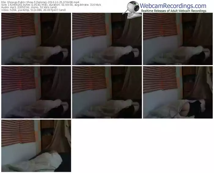 showup-zielona1-webcam-show-10_25_2016-07_44_38