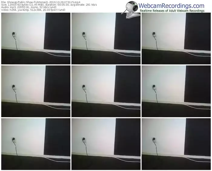 showup-viktoria21-webcam-show-10_29_2016-07_31_15