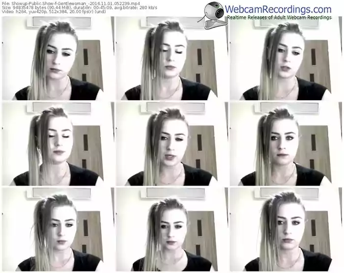 showup-gentlewoman_-webcam-show-11_01_2016-05_22_39