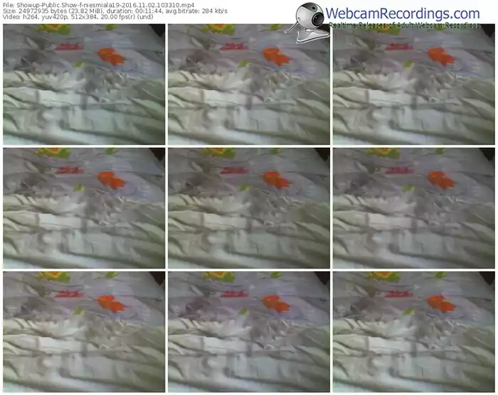 showup-niesmiala19-webcam-show-11_02_2016-10_33_10