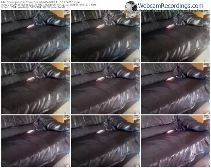 showup-perelka95-webcam-show-11_02_2016-12_48_16