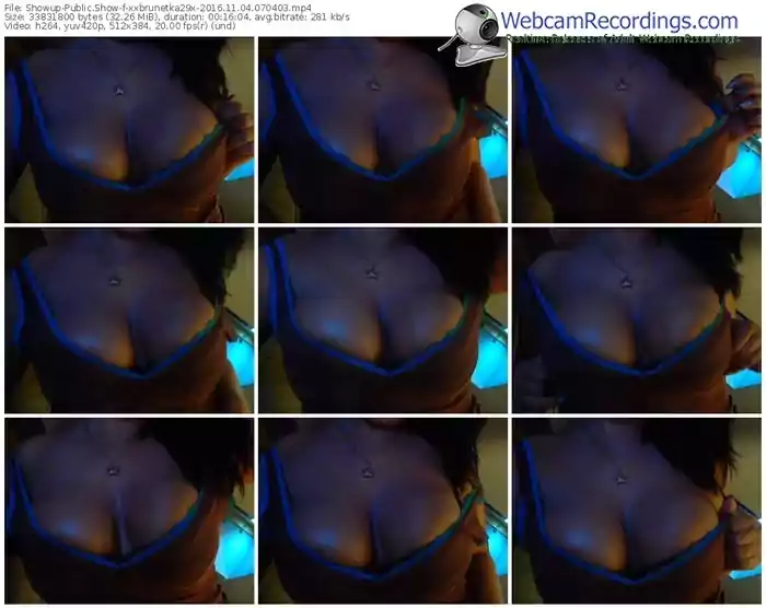 showup-xxbrunetka29x-webcam-show-11_04_2016-07_04_03