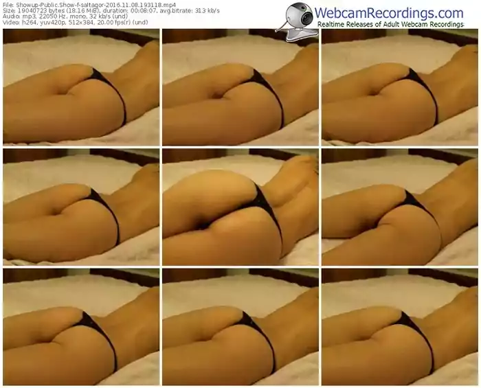 showup-saltagor-webcam-show-11_08_2016-19_31_18