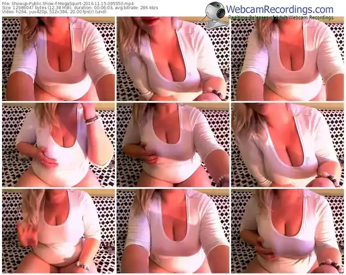 showup-megasquirt-webcam-show-11_15_2016-09_55_50