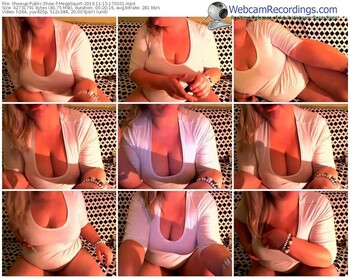 showup-megasquirt-webcam-show-11_15_2016-17_01_01
