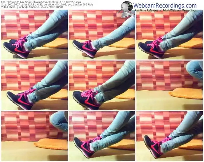 showup-malineczka18-webcam-show-11_18_2016-01_26_58