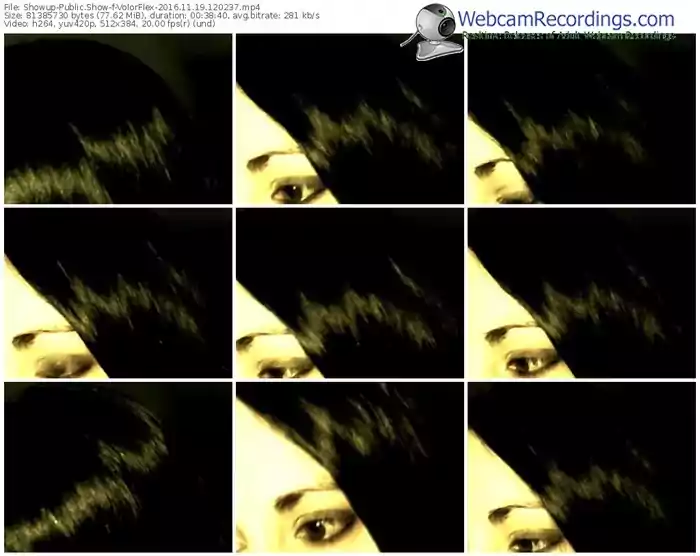 showup-volorflex-webcam-show-11_19_2016-12_02_37