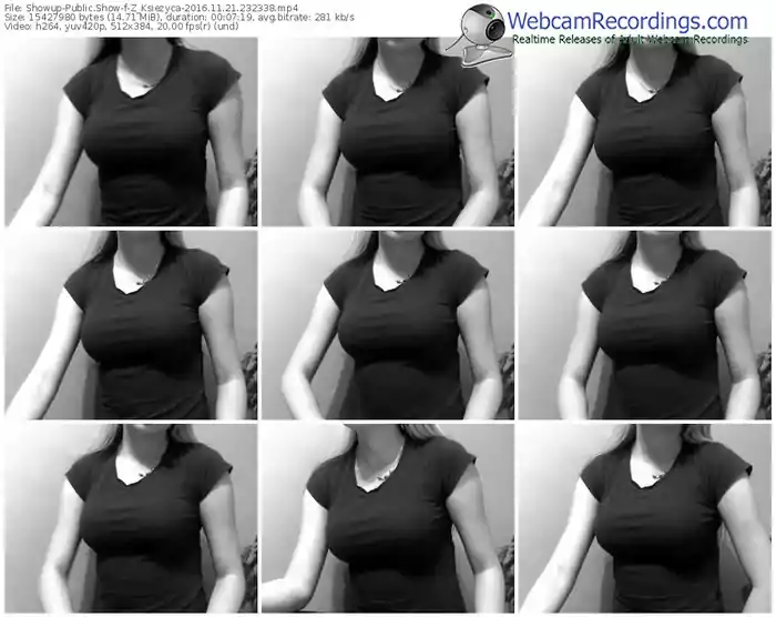 showup-z_ksiezyca-webcam-show-11_21_2016-23_23_38