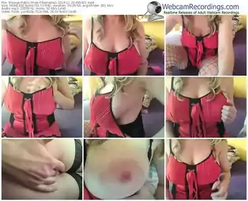 showup-teatralna1-webcam-show-11_23_2016-09_54_11