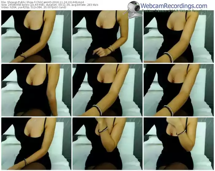 showup-chilicamhd-webcam-show-11_24_2016-16_14_49