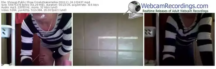 showup-malutkakornelka-webcam-show-11_24_2016-10_34_37