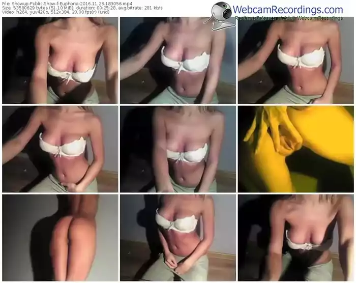showup-euphoria-webcam-show-11_26_2016-18_30_56