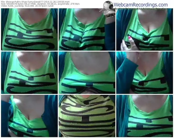 showup-zmyslowa077-webcam-show-11_26_2016-12_00_30