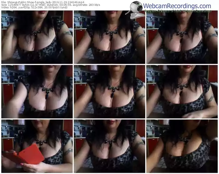 showup-single_lady-webcam-show-11_29_2016-13_41_46