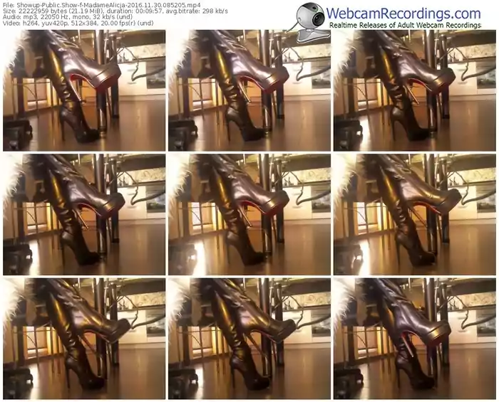 showup-madamealicja-webcam-show-11_30_2016-08_52_05