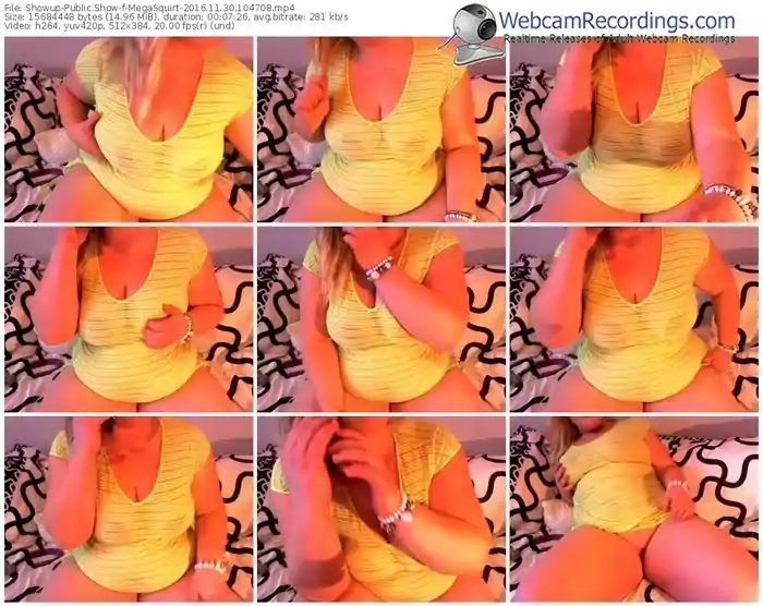 showup-megasquirt-webcam-show-11_30_2016-10_47_08