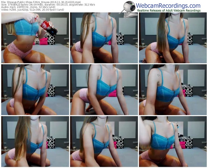 showup-mini_mouse-webcam-show-11_30_2016-21_42_20