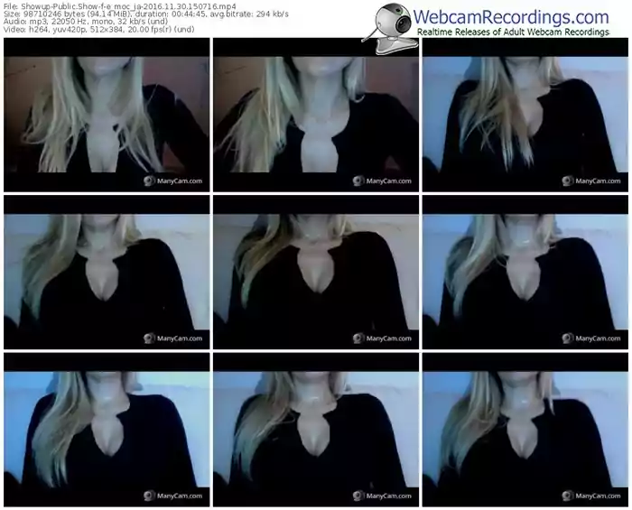 showup-e_moc_ja-webcam-show-11_30_2016-15_07_16